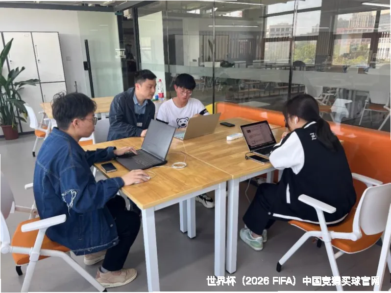 未来愿景与发展方向