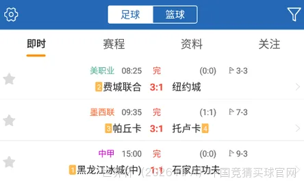高效使用与风险提示